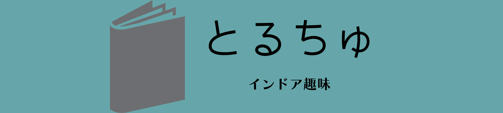 とるちゅのインドア趣味